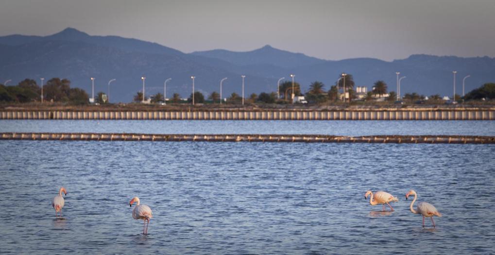 Bolina Rooms Quartu SantʼElena Εξωτερικό φωτογραφία